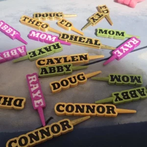 Personalized Cribbage Pegs - Any Name or Word